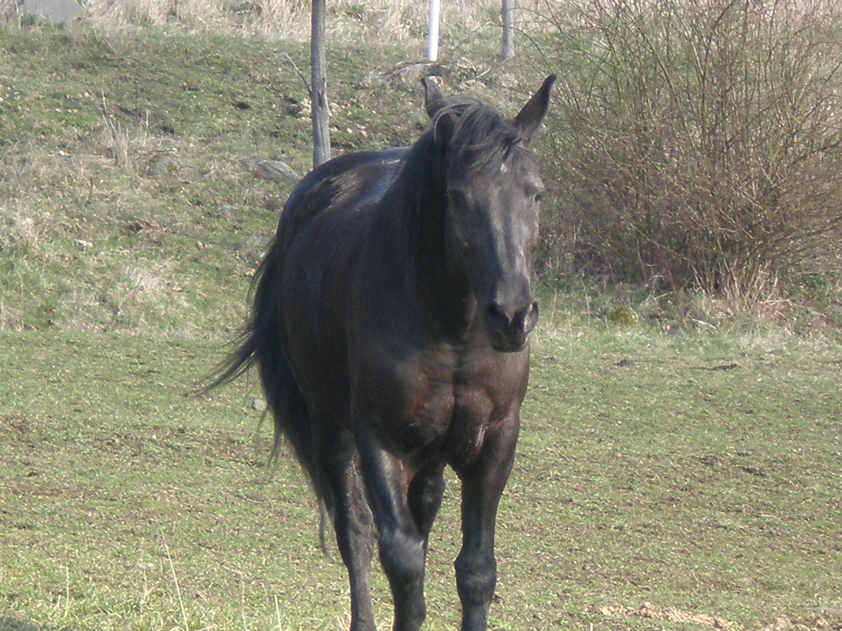 P3100080.JPG
